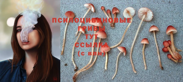 первитин Белоозёрский