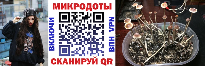 Галлюциногенные грибы мицелий  ОМГ ОМГ вход  Кузнецк 